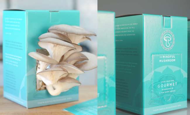 14 Best Packaging Designs That Influence Buying Decisions
